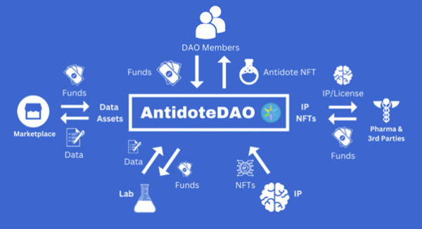 AntidoteDAO