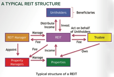 REIT